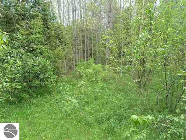 0 Stoney Point Road Cheboygan, MI 49721 - Photo 10 of 19 1726825-9.JPG