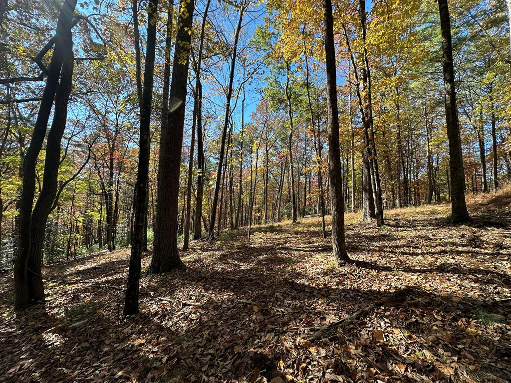 0 Stover Creek Cove Blue Ridge, GA 30513 - Photo 1 of 9 Main View