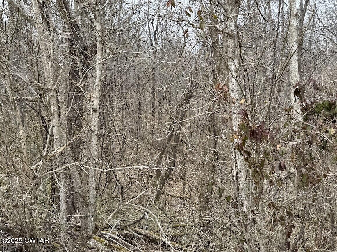 6577 Minnick Elbridge Road Obion, TN 38240 - Photo 3 of 6