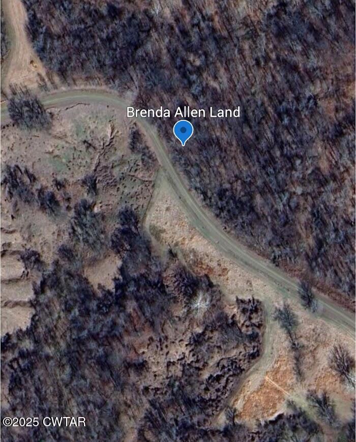 6577 Minnick Elbridge Road Obion, TN 38240 - Photo 5 of 6 a view of a forest with a forest
