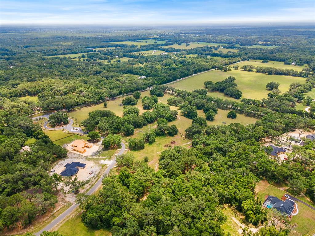241 241st Newberry, FL 32669 - Photo 14 of 30 a view of a lake with a city