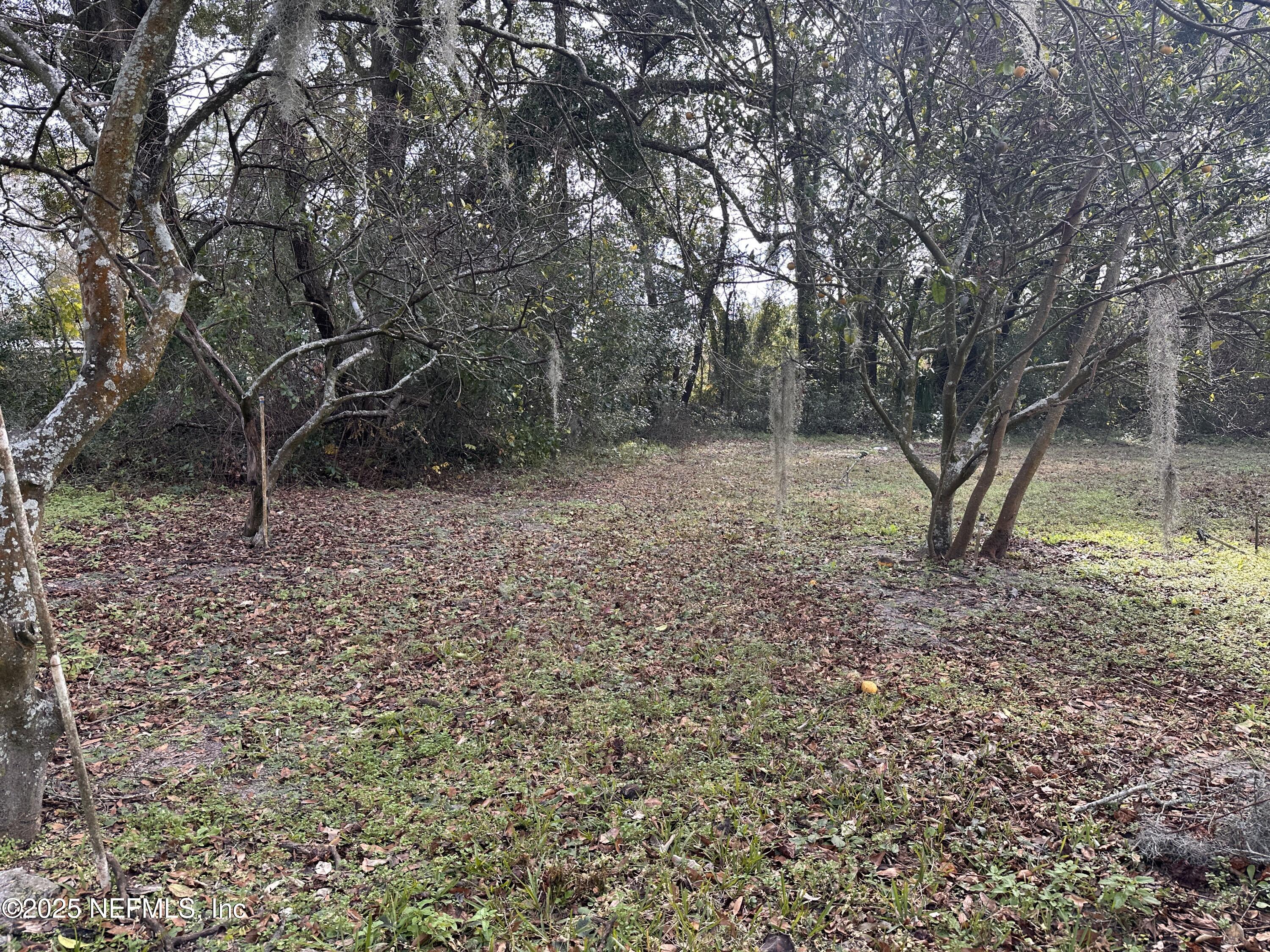 9181 Ribault Avenue Jacksonville, FL 32208 - Photo 24 of 25 Backyard