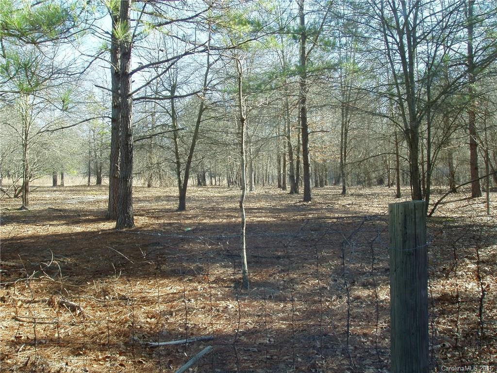 1755 Snow Hill Road Chesterfield, SC 29709 - Photo 3 of 5
