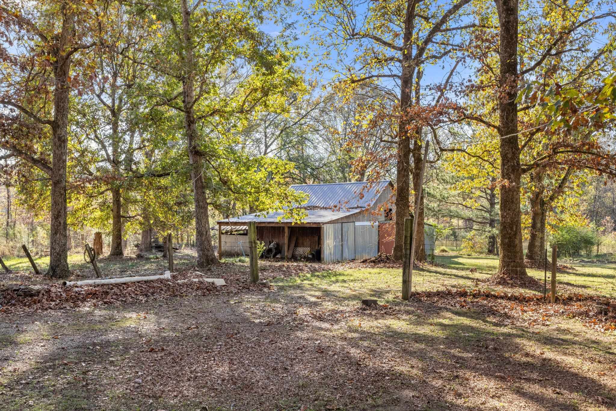 213 Forrest School Road Corinth, MS 38834 - Photo 28 of 40 View of yard featuring an outdoor structure