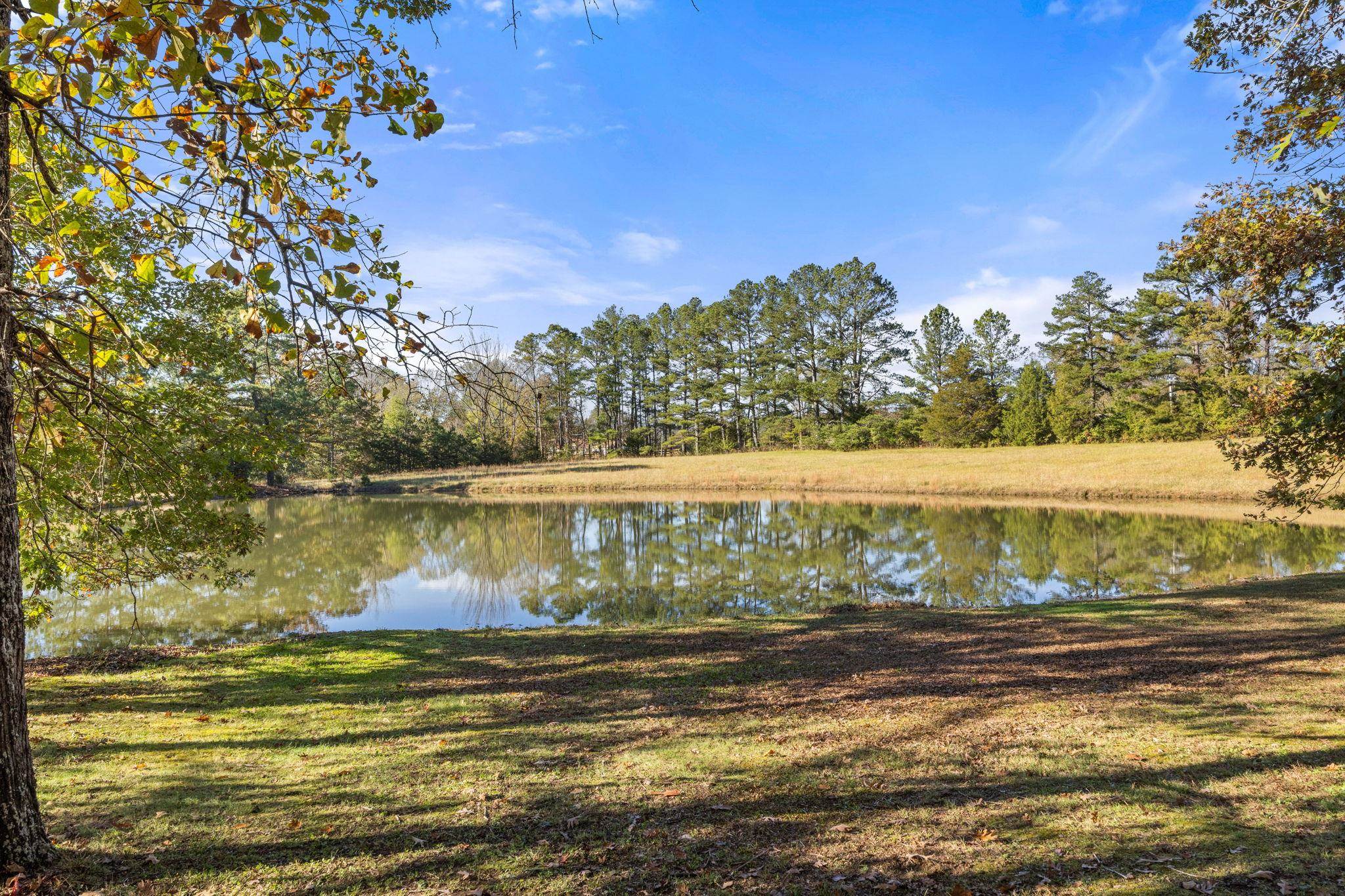 213 Forrest School Road Corinth, MS 38834 - Photo 36 of 40 Water view