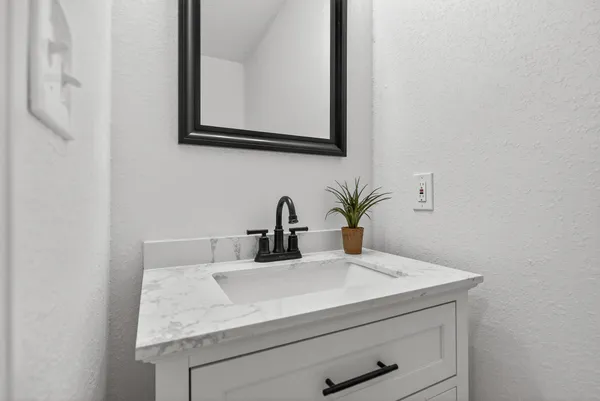 a view of a tree in the middle of a yard