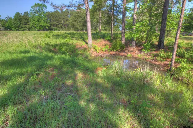 a view of a dry yard