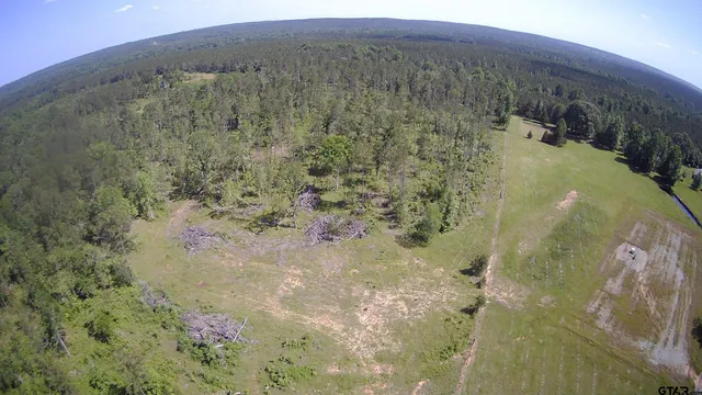a view of a lake in a forest