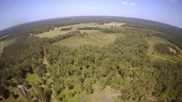 a view of a dry yard