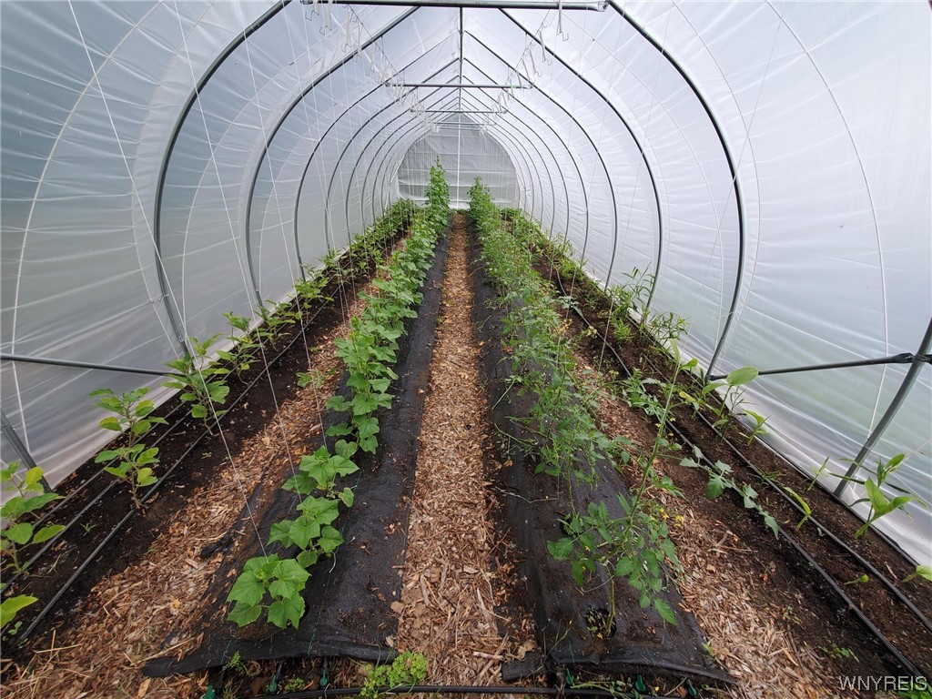 1875 Dodge Road Amherst, NY 14051 - Photo 29 of 30