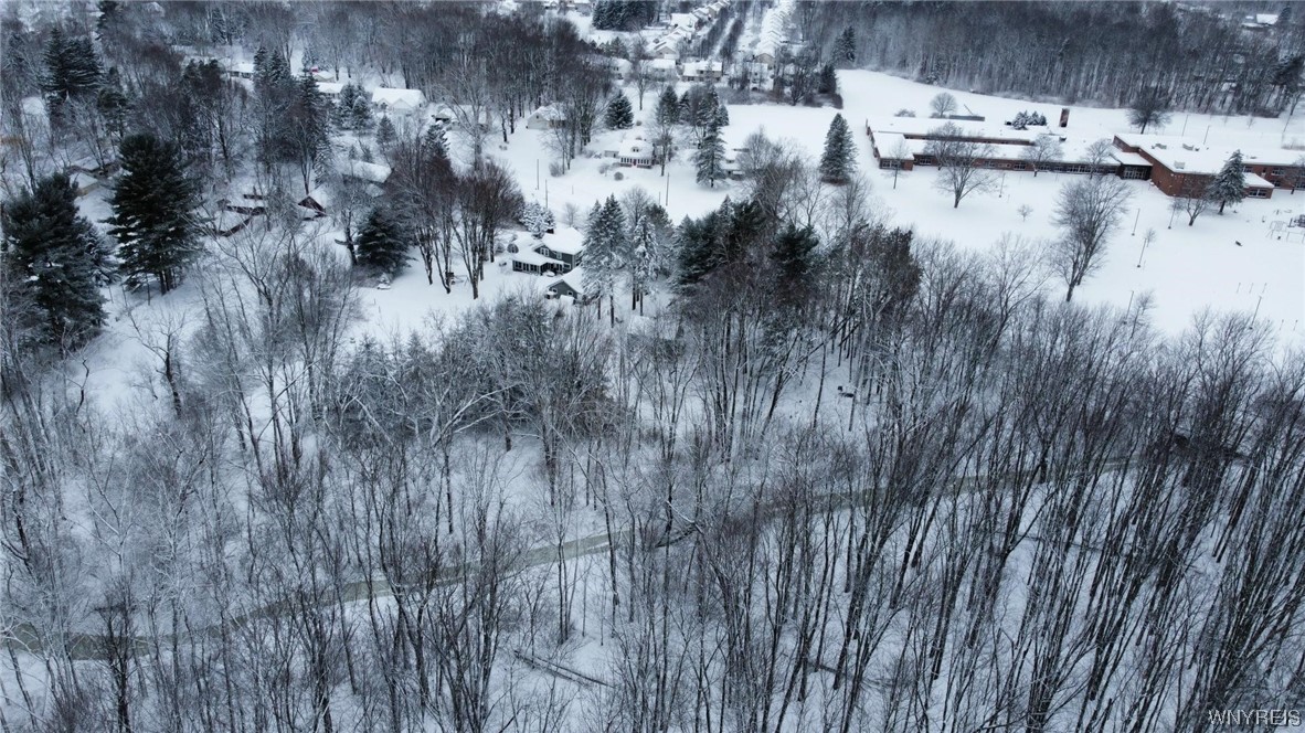 1875 Dodge Road Amherst, NY 14051 - Photo 30 of 30