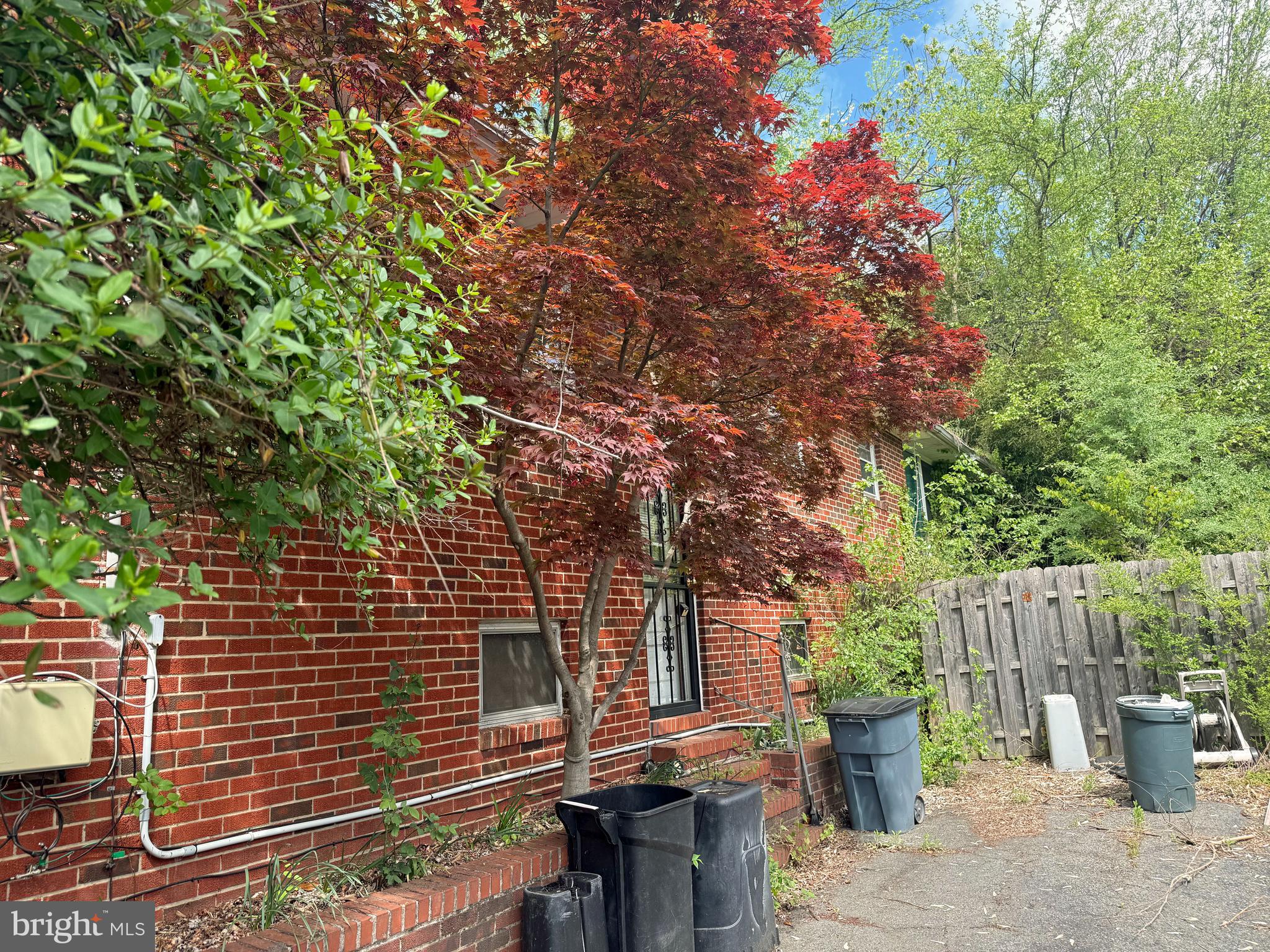 7918 31st Street Baltimore, MD 21237 - Photo 1 of 2 a backyard of a house with lots of green space
