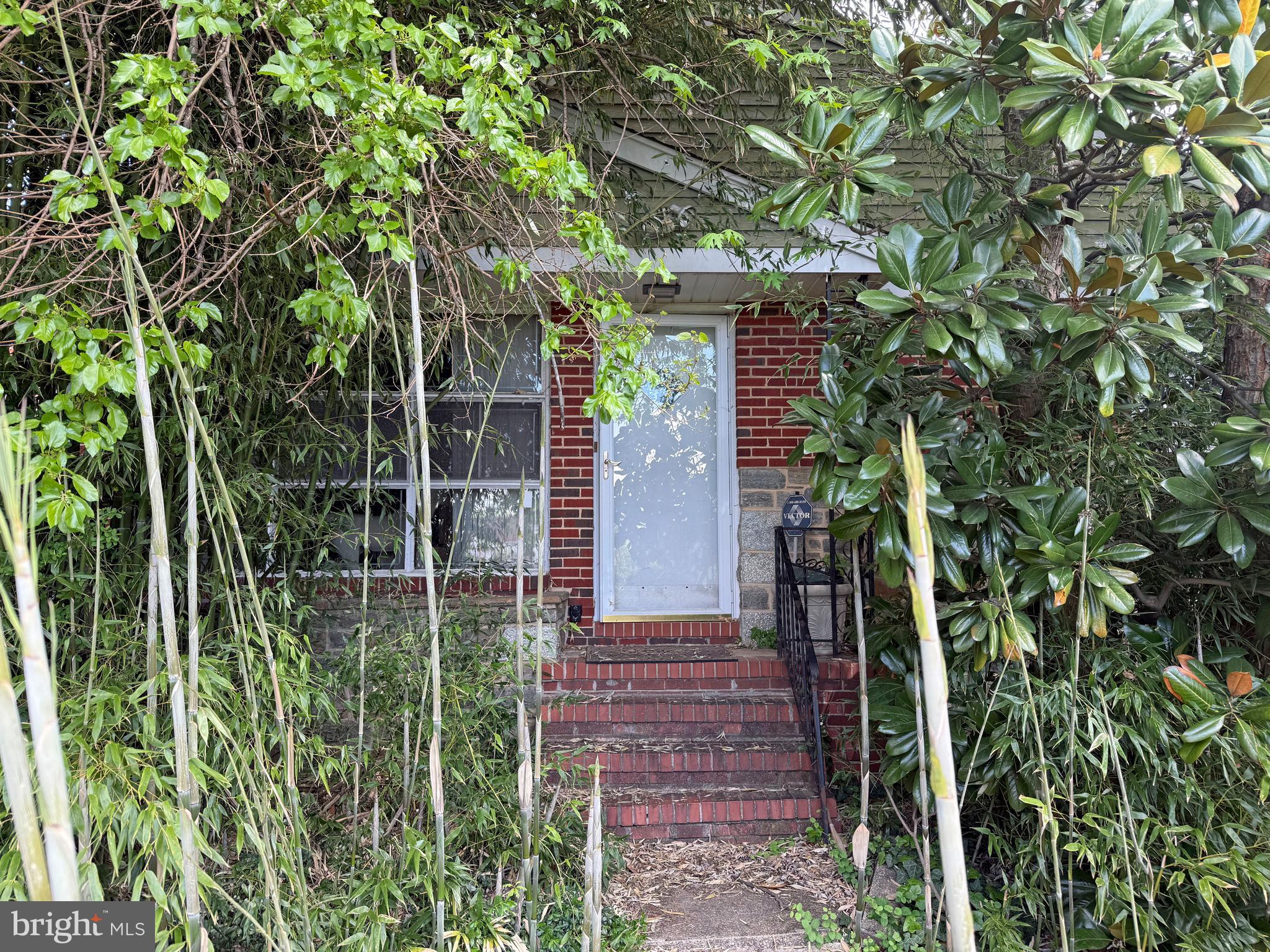7918 31st Street Baltimore, MD 21237 - Photo 2 of 2 a view of a backyard