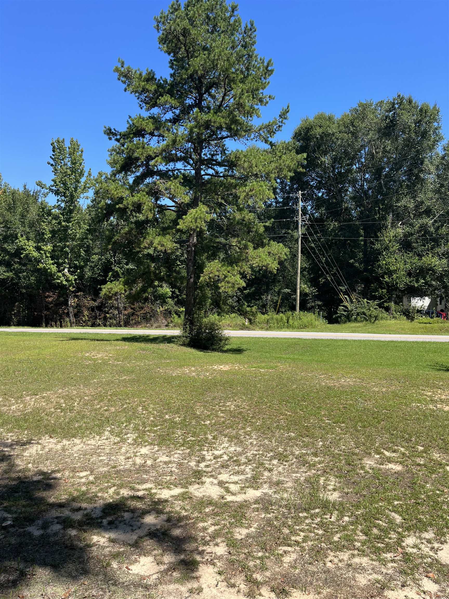 9068 Bryant's Lndg Road Stockton, AL 36579 - Photo 9 of 10 Yard
