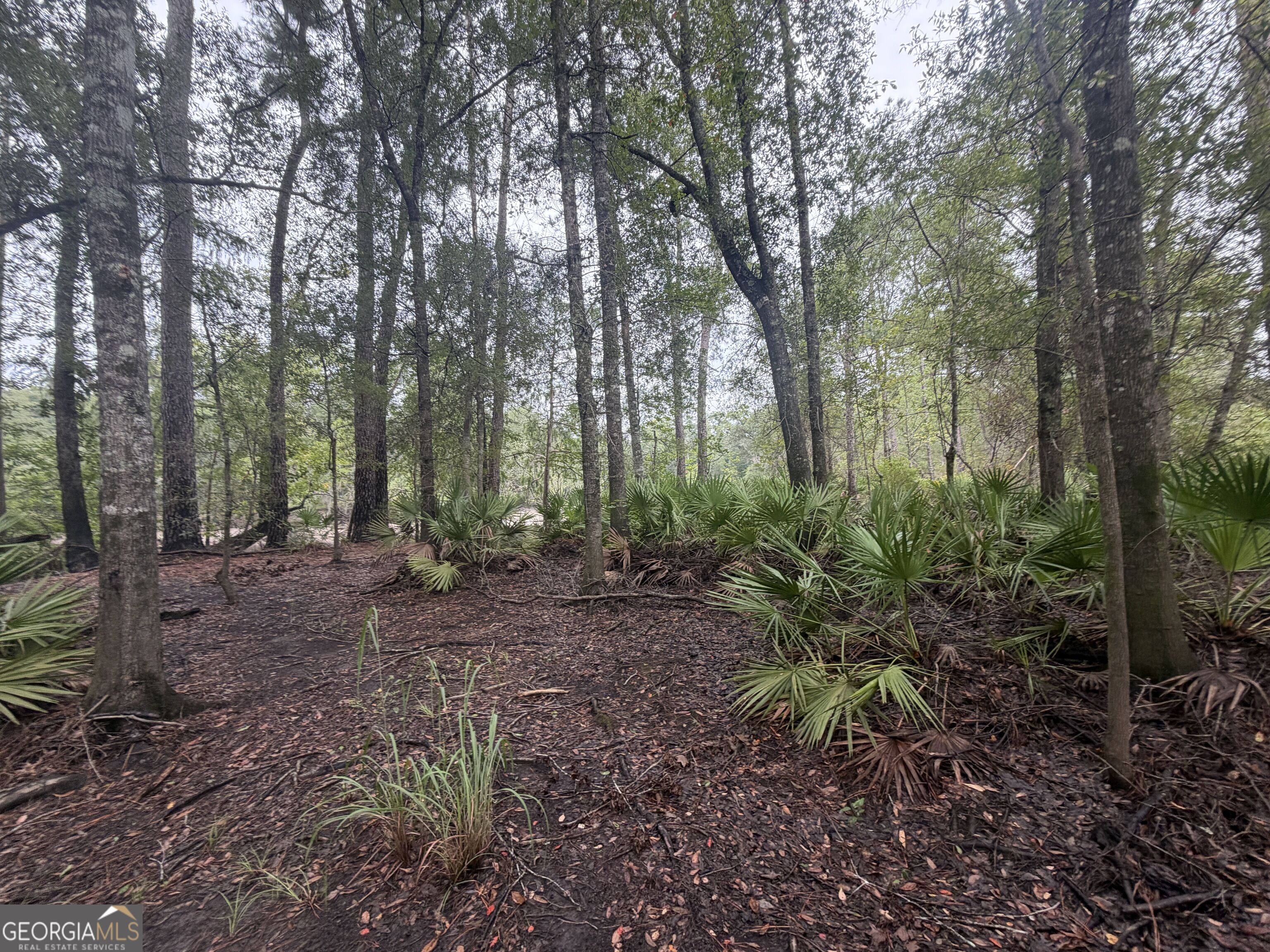 0 Jamestown Road Waycross, GA 31503 - Photo 28 of 92 Gallery Image 28
