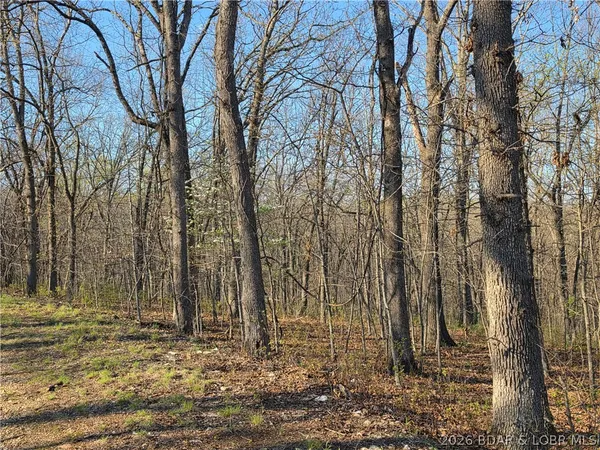 $9,900 | Galvin Place, Unit 2283, Edwards, MO 65326