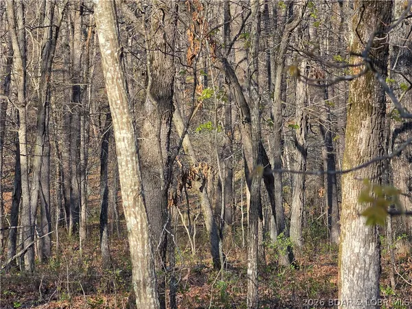 $9,900 | Galvin Place, Unit 2283, Edwards, MO 65326