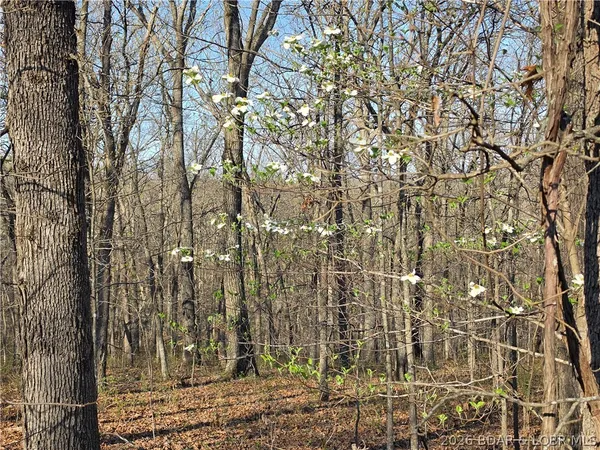 $9,900 | Galvin Place, Unit 2283, Edwards, MO 65326