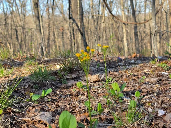 $9,900 | Galvin Place, Unit 2283, Edwards, MO 65326