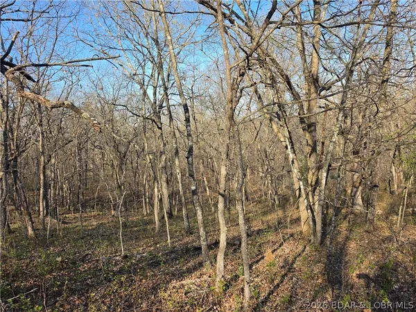 $9,900 | Galvin Place, Unit 2283, Edwards, MO 65326