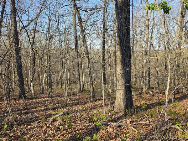 $9,900 | Galvin Place, Unit 2283, Edwards, MO 65326