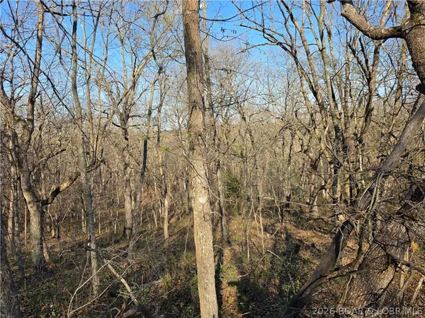 $9,900 | Galvin Place, Unit 2283, Edwards, MO 65326