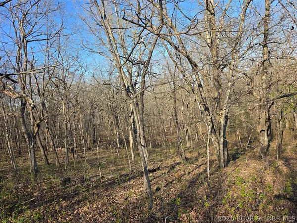 $9,900 | Galvin Place, Unit 2283, Edwards, MO 65326