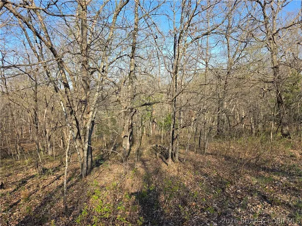 $9,900 | Galvin Place, Unit 2283, Edwards, MO 65326