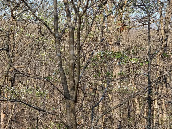 $9,900 | Galvin Place, Unit 2283, Edwards, MO 65326