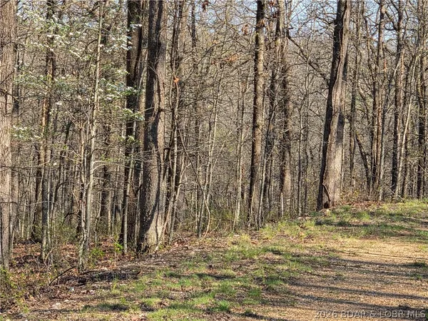 $9,900 | Galvin Place, Unit 2283, Edwards, MO 65326