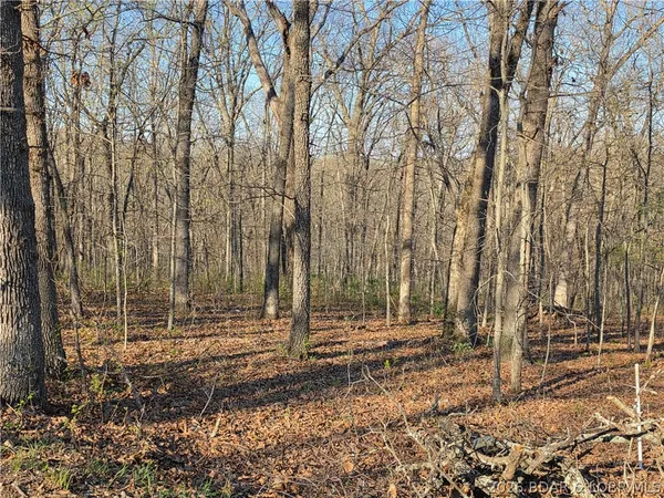 $9,900 | Galvin Place, Unit 2283, Edwards, MO 65326