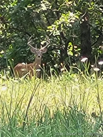 $9,900 | Galvin Place, Unit 2283, Edwards, MO 65326