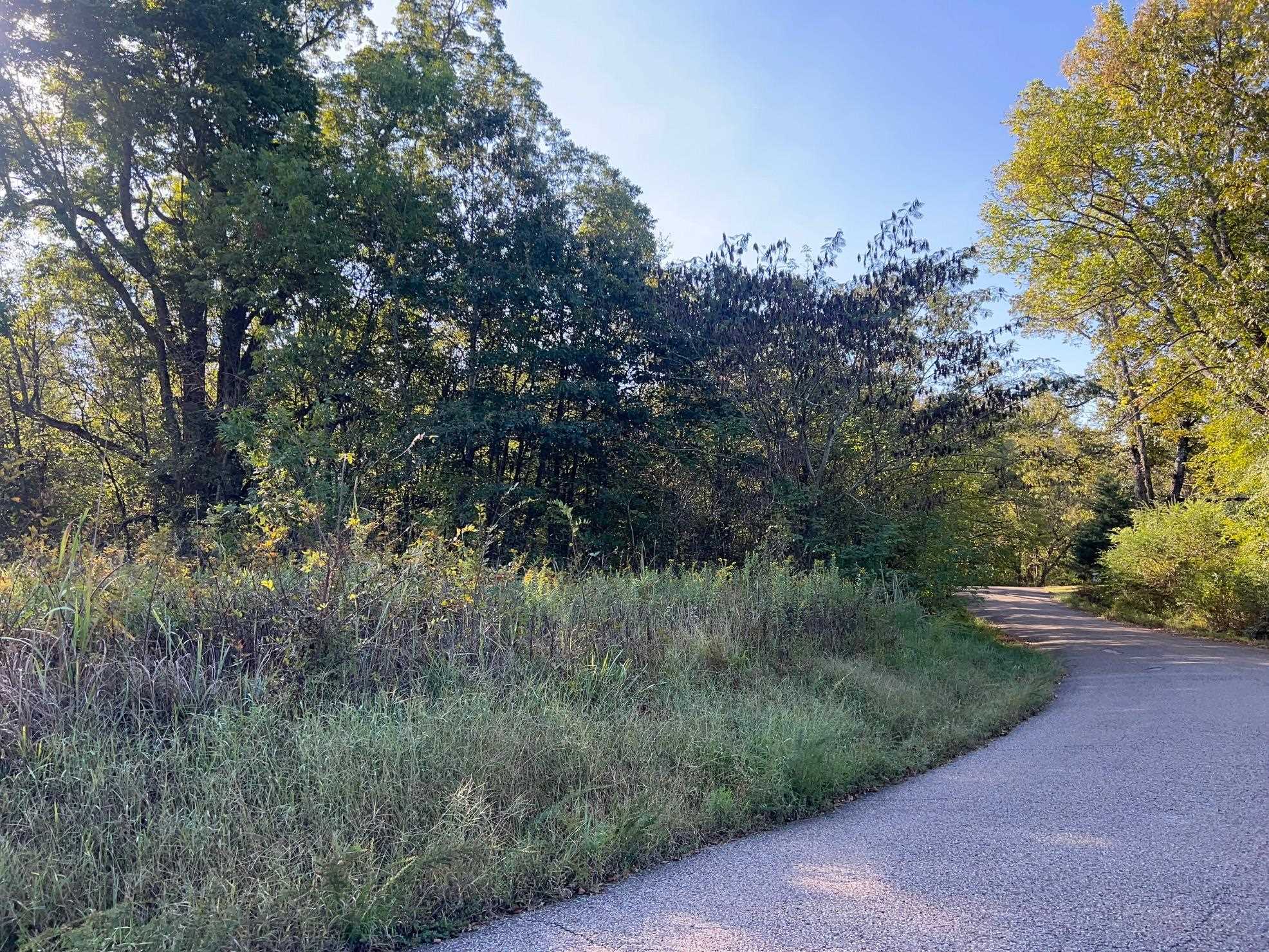 0 Cemetery Road Michie, TN 38357 - Photo 1 of 15 a view of a forest with a tree in the background