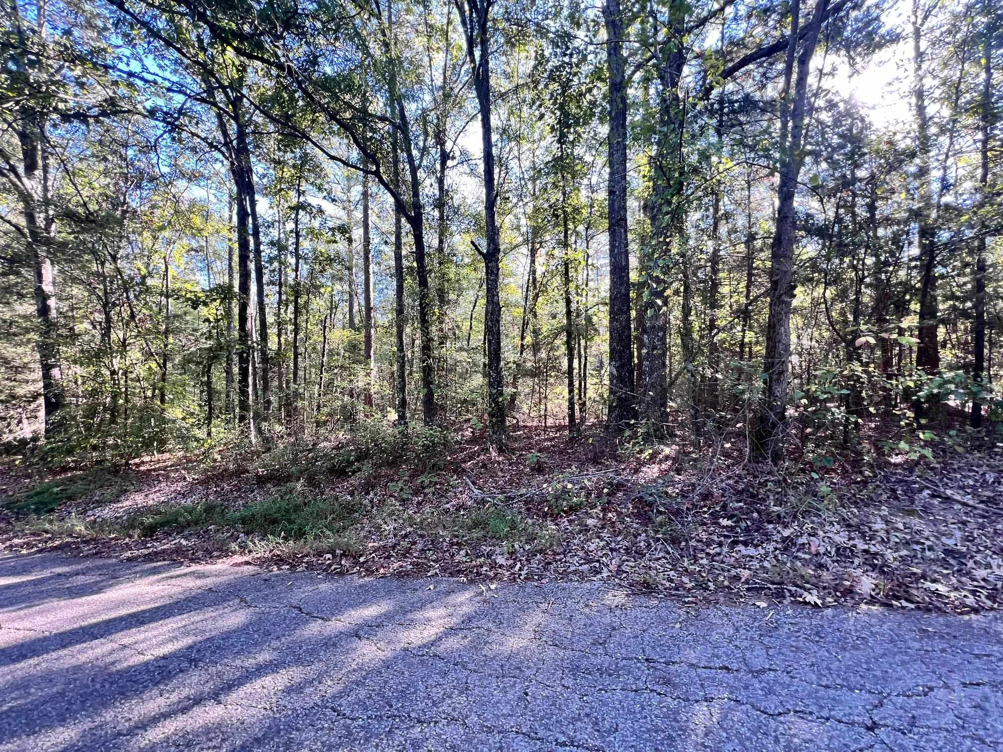0 Cemetery Road Michie, TN 38357 - Photo 11 of 15 a view of outdoor space and tree