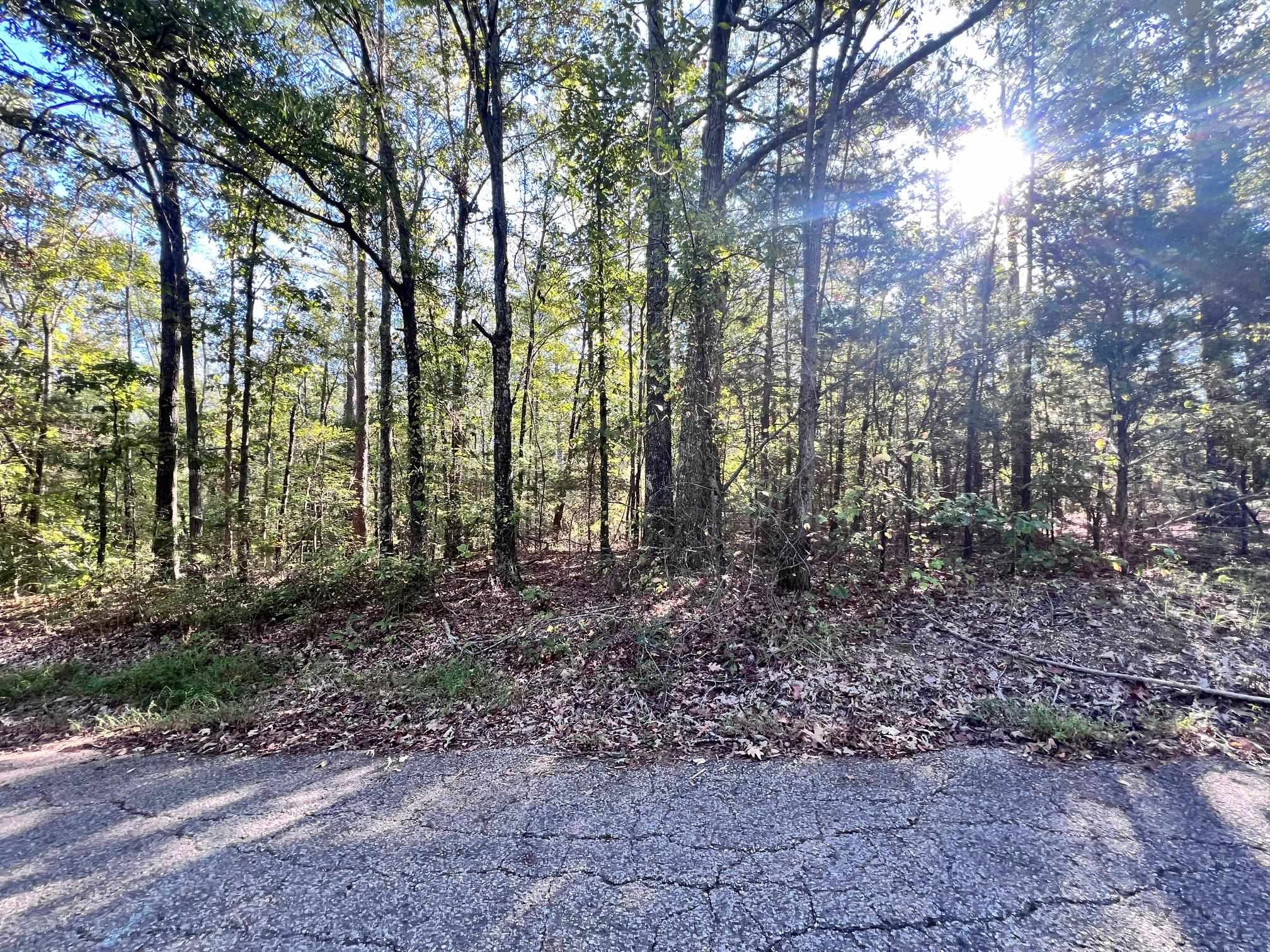 0 Cemetery Road Michie, TN 38357 - Photo 12 of 15 a view of outdoor space and tree