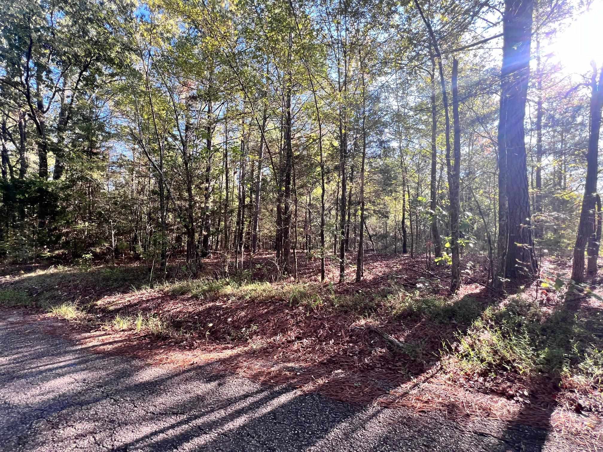 0 Cemetery Road Michie, TN 38357 - Photo 13 of 15 a backyard of a house with lots of green space
