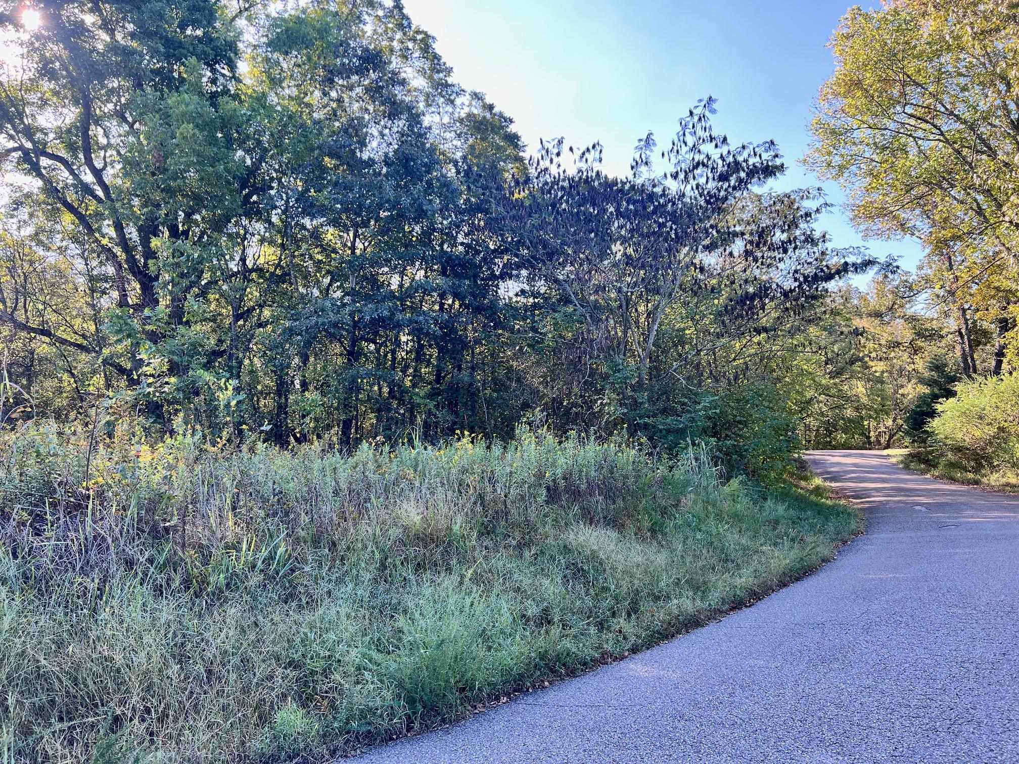 0 Cemetery Road Michie, TN 38357 - Photo 2 of 15 a view of a forest filled with trees
