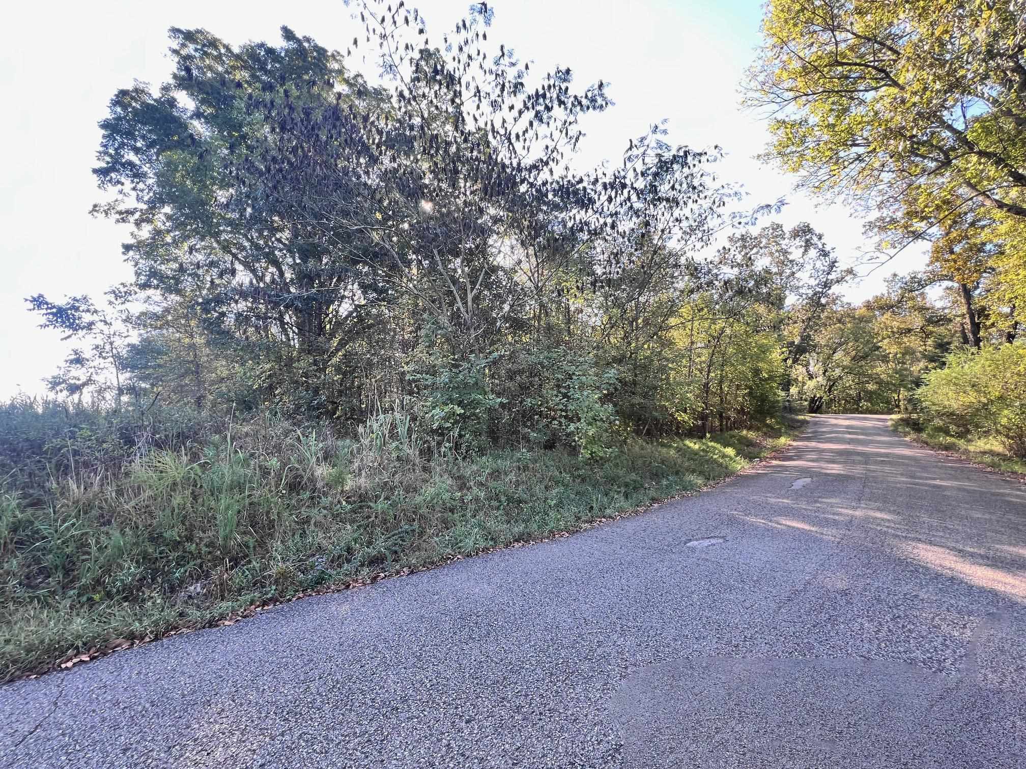 0 Cemetery Road Michie, TN 38357 - Photo 4 of 15 a view of a forest with trees in the background