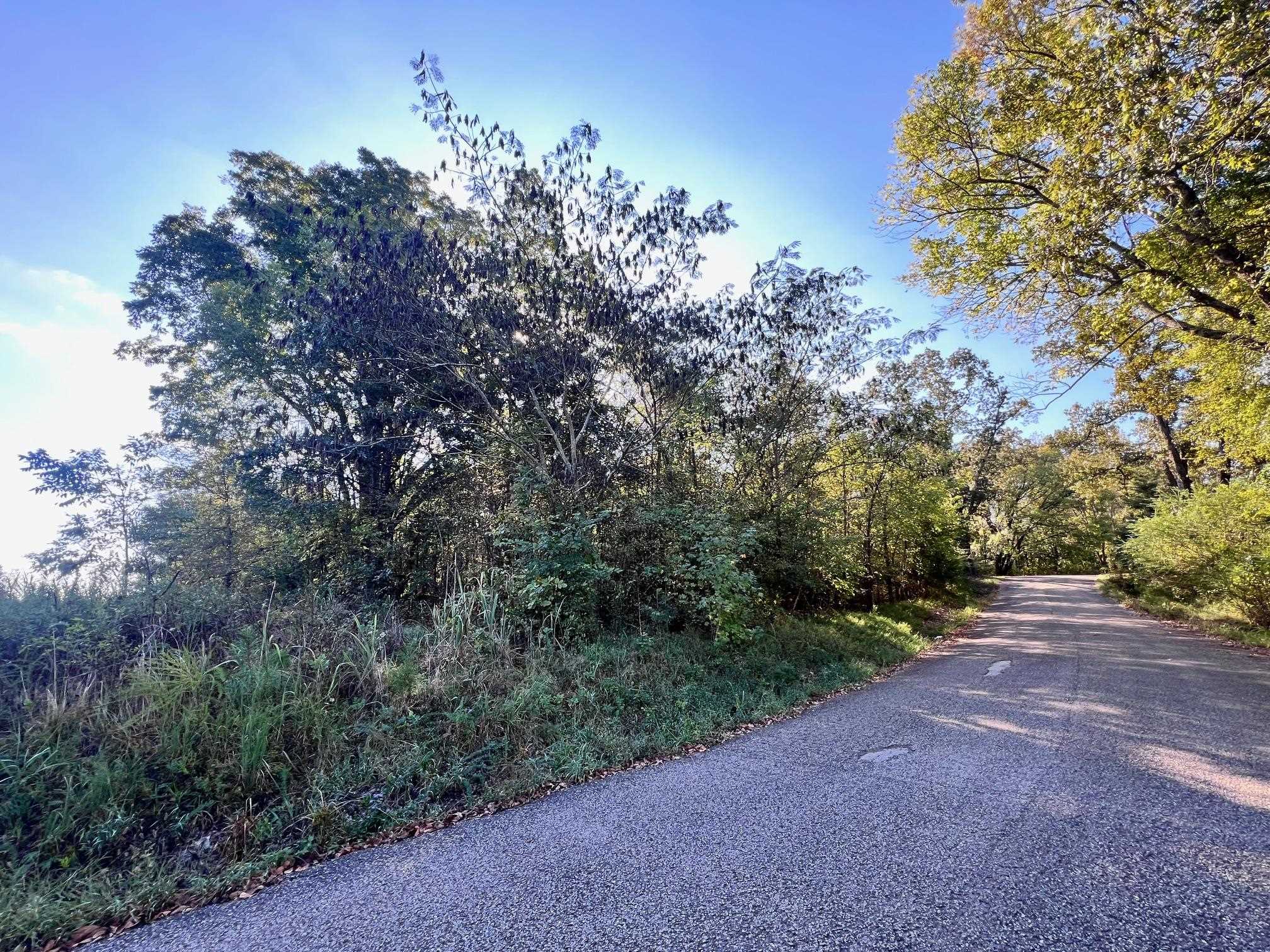 0 Cemetery Road Michie, TN 38357 - Photo 5 of 15 a view of a large yard with lots of green space