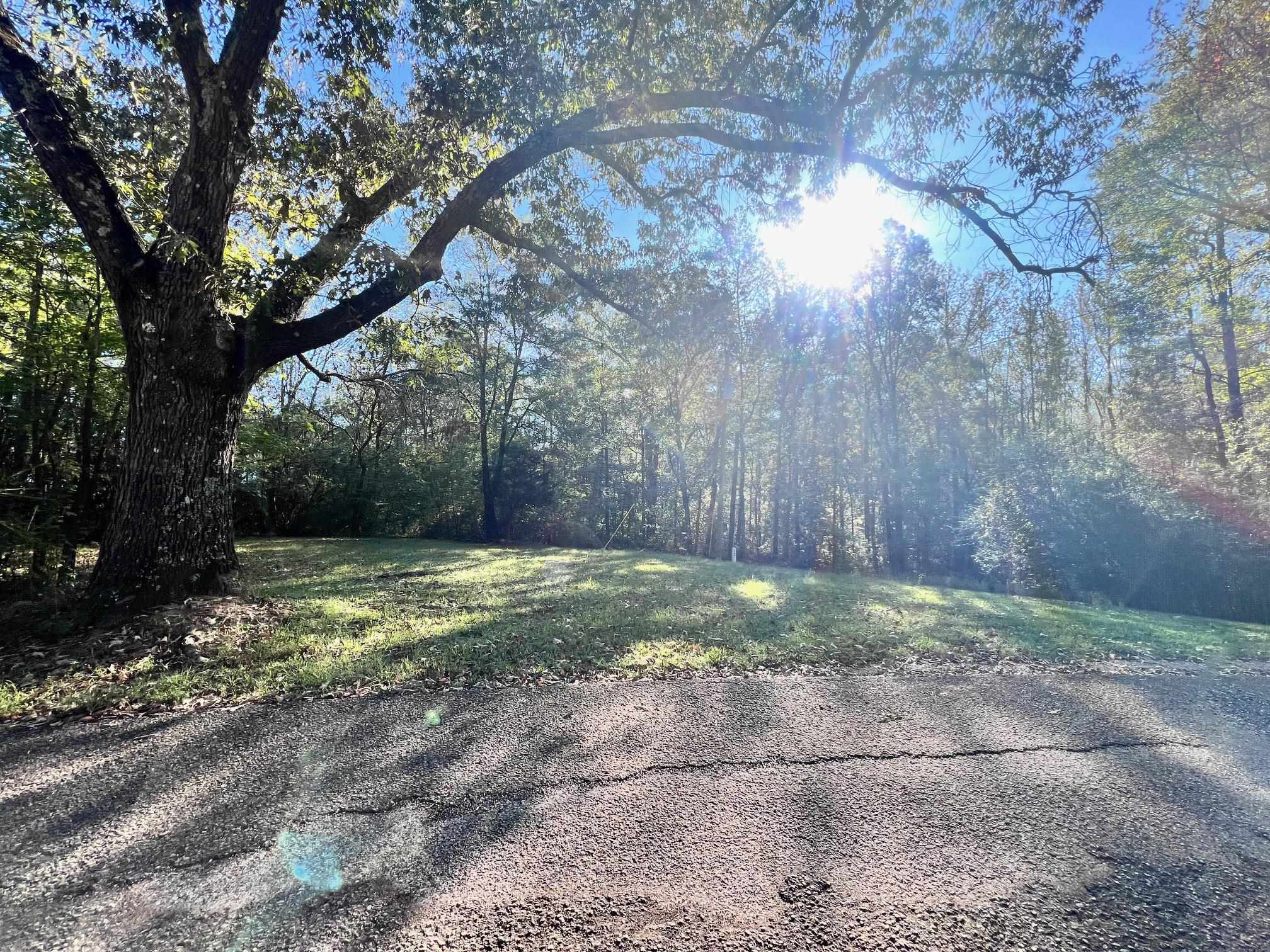 0 Cemetery Road Michie, TN 38357 - Photo 6 of 15 a view of a yard with trees