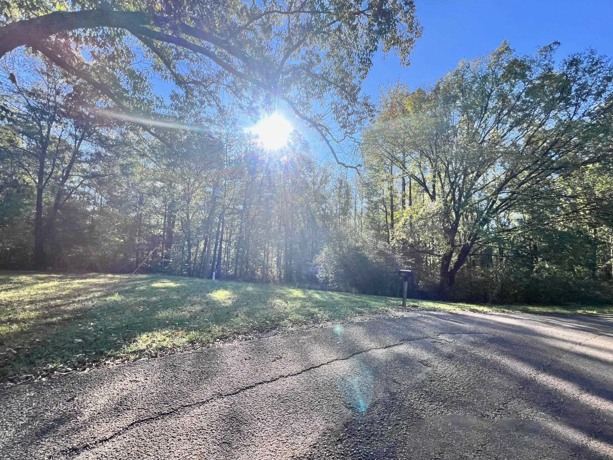 0 Cemetery Road Michie, TN 38357 - Photo 7 of 15 a view of a yard with trees