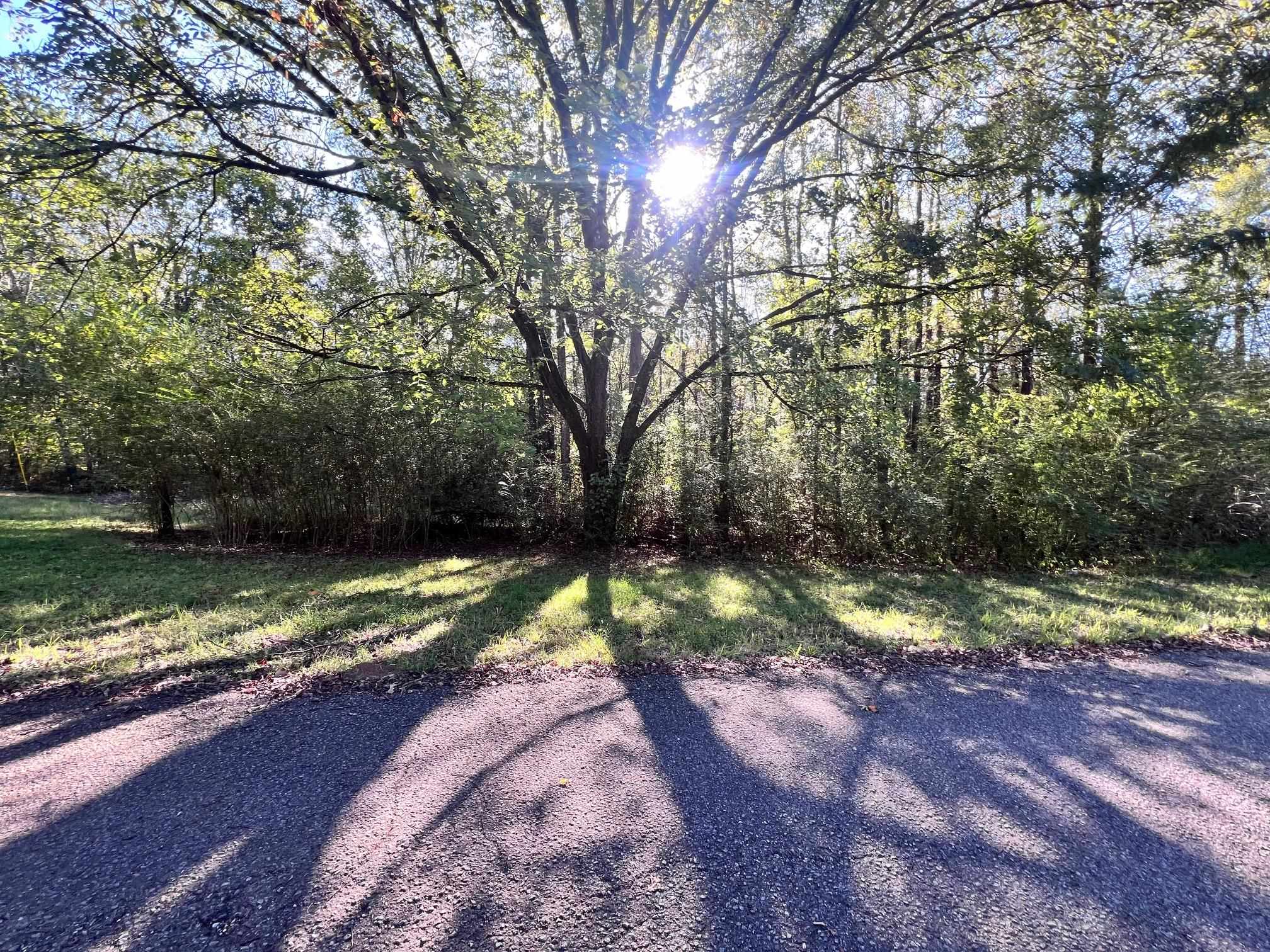 0 Cemetery Road Michie, TN 38357 - Photo 8 of 15 a view of yard