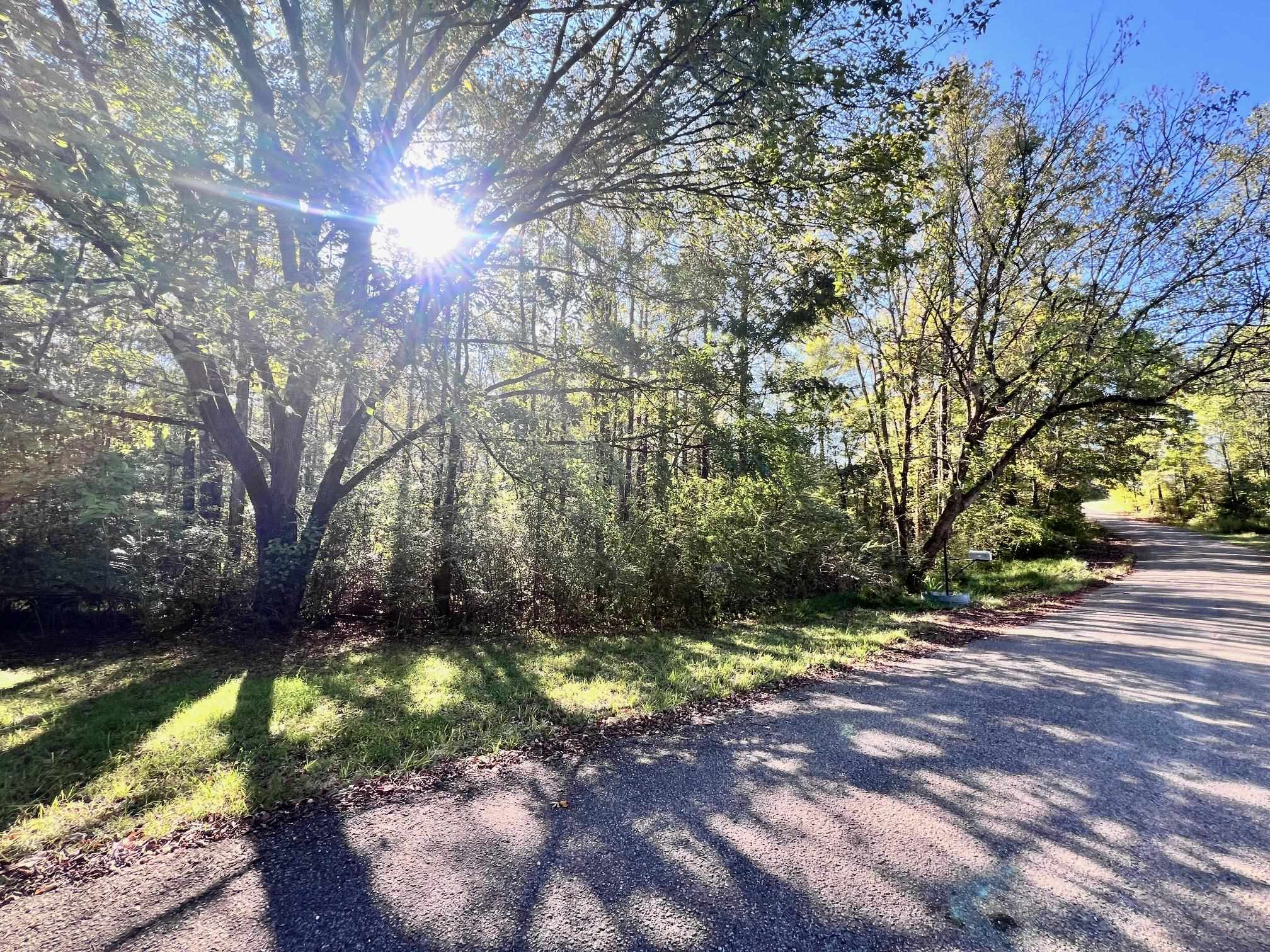 0 Cemetery Road Michie, TN 38357 - Photo 9 of 15 a view of backyard with green space