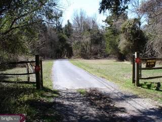 12 Picnic Grove Road Stockton, NJ 08559 - Photo 2 of 6 Gallery Image 2