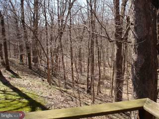 12 Picnic Grove Road Stockton, NJ 08559 - Photo 3 of 6 Gallery Image 3