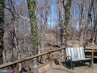 12 Picnic Grove Road Stockton, NJ 08559 - Photo 5 of 6 Gallery Image 5