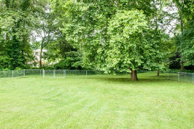 1027 Heatherwood Road Pleasant View, TN 37146 - Photo 14 of 15 Even when you see this far back in the yard (goes a bit more than the fence line) you cannot see the backyard neighbor...seems good, doesn't it?