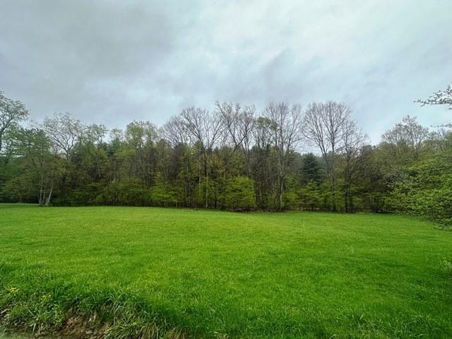 0 Valentine Run Road Russell, PA 16345 - Photo 1 of 9 Gallery Image 1