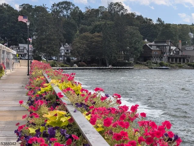 a view of a lake with a house in the background