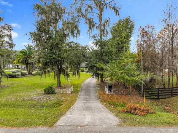 a walkway with trees on sides